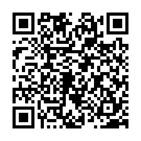 QR code for N453349