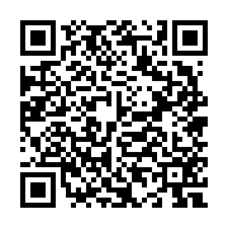 QR code for N456563