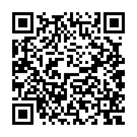 QR code for N460052