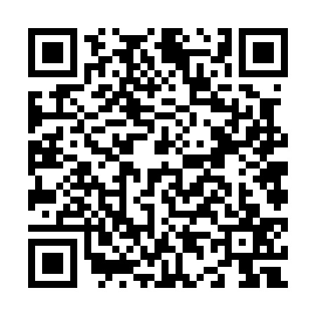 QR code for N460374