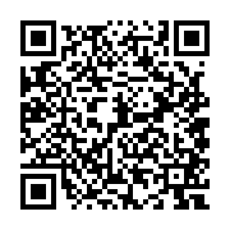 QR code for N461412