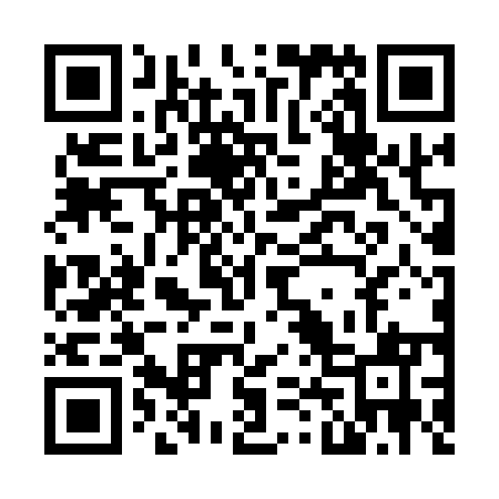 QR code for N46151