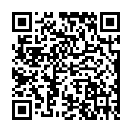 QR code for N461825