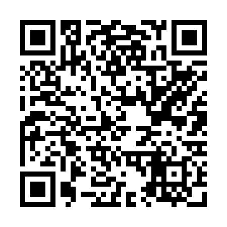 QR code for N46238