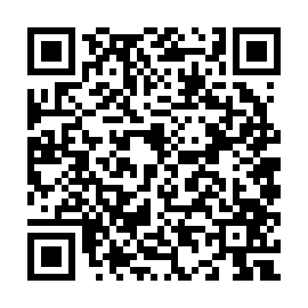 QR code for N462473