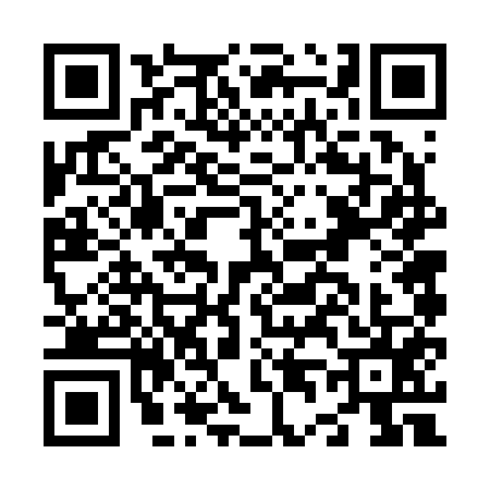 QR code for N462551
