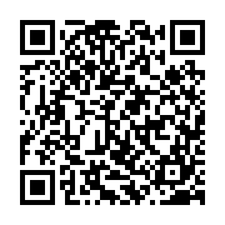 QR code for N46264