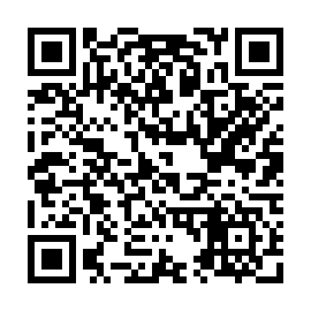 QR code for N46347