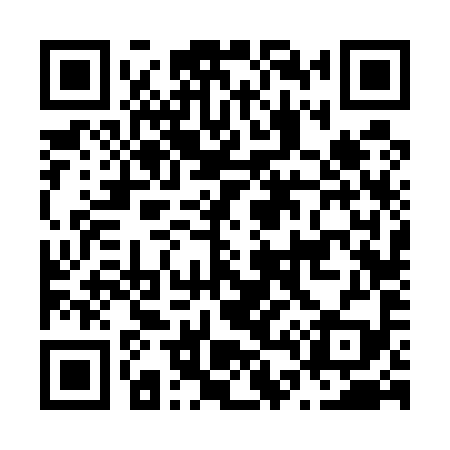 QR code for N46599