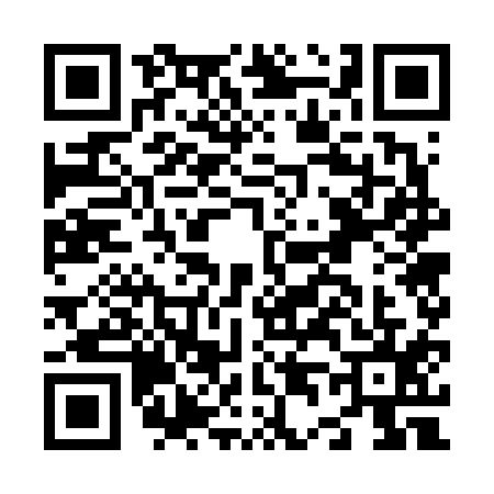 QR code for N476151