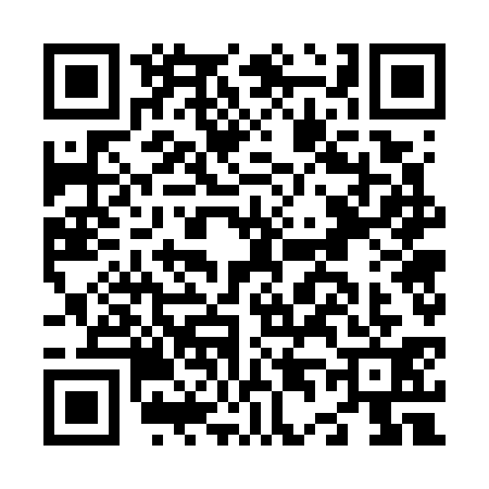 QR code for N477313