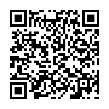 QR code for N48663