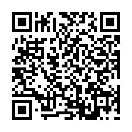 QR code for N487889