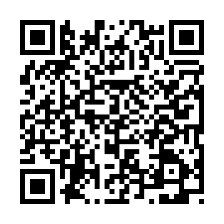 QR code for N490159