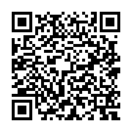 QR code for N490521
