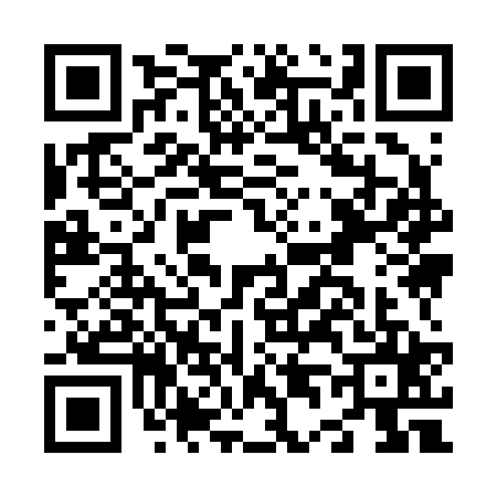 QR code for N492250