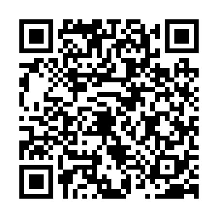 QR code for N492788