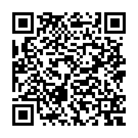 QR code for N495219