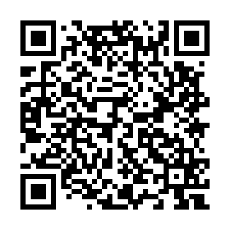 QR code for N49565