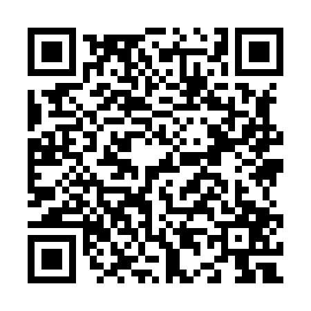 QR code for N498071