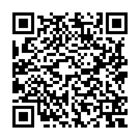 QR code for N498224