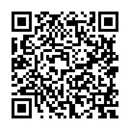 QR code for N498807