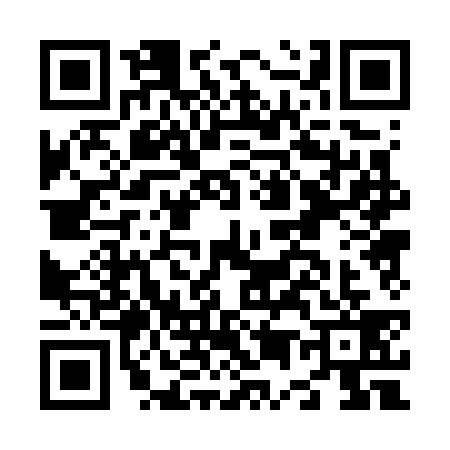 QR code for N507394