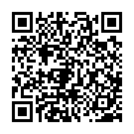 QR code for N507817