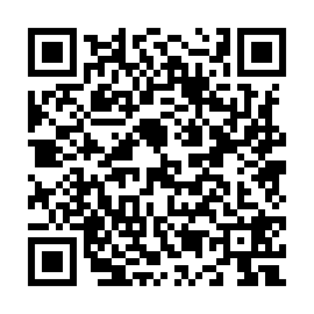 QR code for N509285