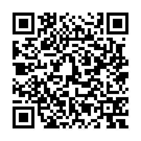 QR code for N510745