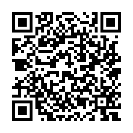 QR code for N511575
