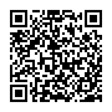 QR code for N51384