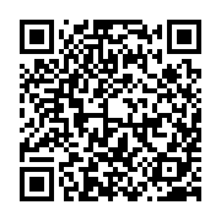 QR code for N51388