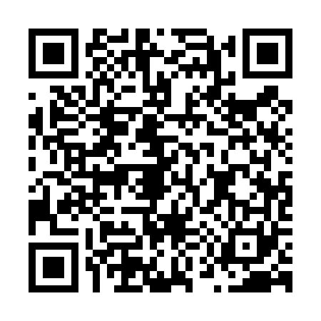QR code for N514615