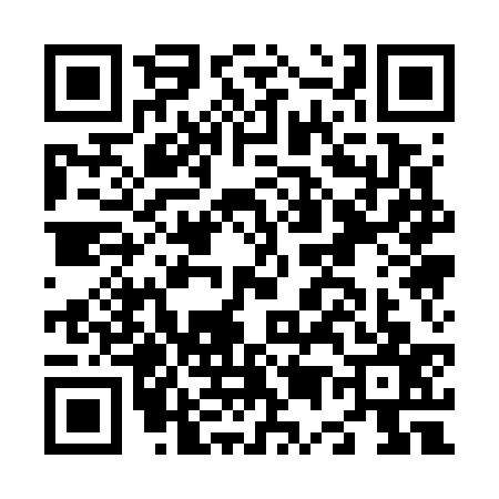 QR code for N517377