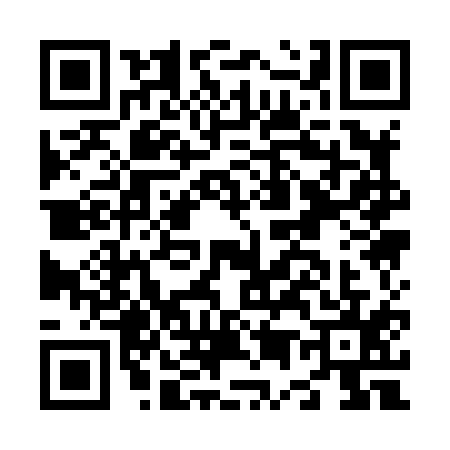 QR code for N518153