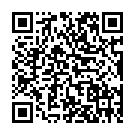 QR code for N519810