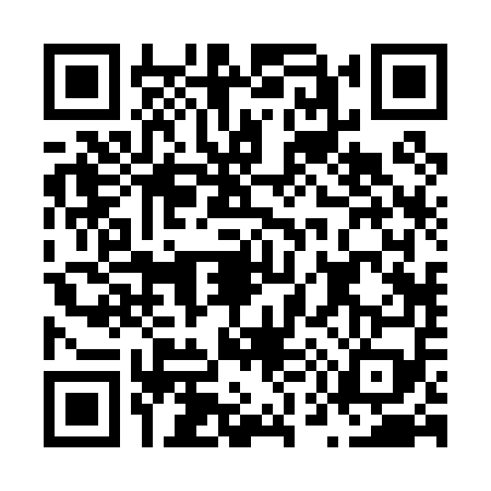 QR code for N520590