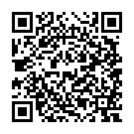 QR code for N524813