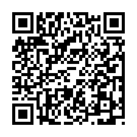 QR code for N528796