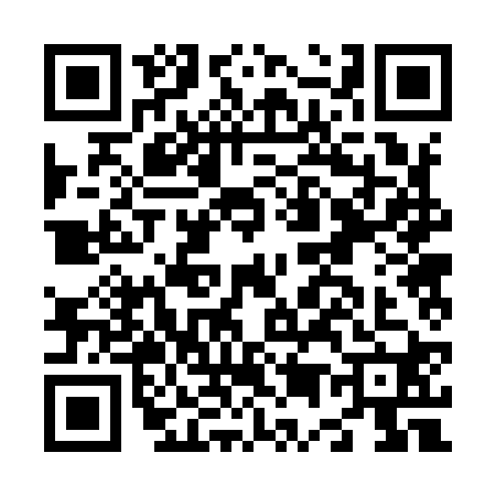 QR code for N529203