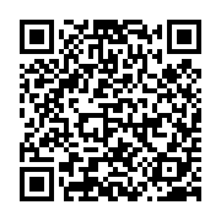 QR code for N53408