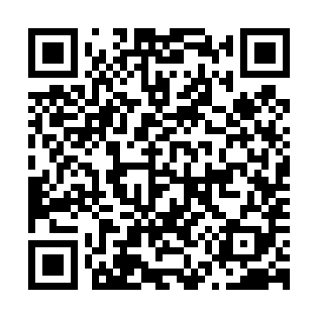 QR code for N53489