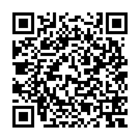 QR code for N536687
