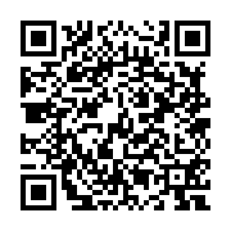 QR code for N538503