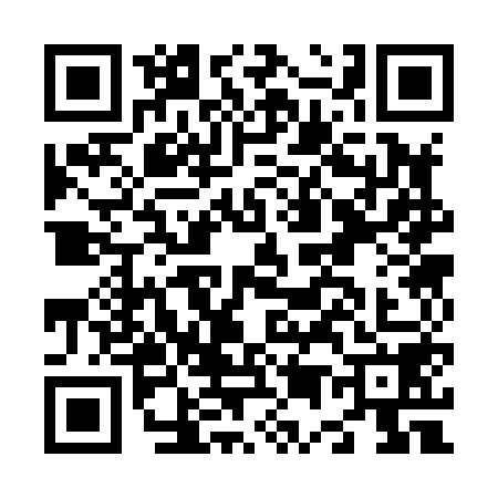 QR code for N538587