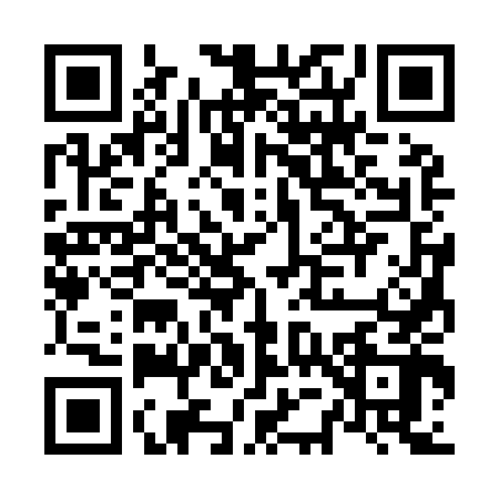 QR code for N539424
