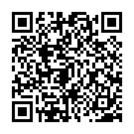 QR code for N540333