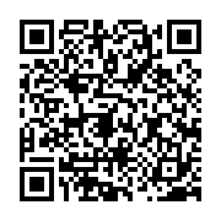 QR code for N541330