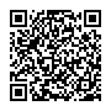 QR code for N54313
